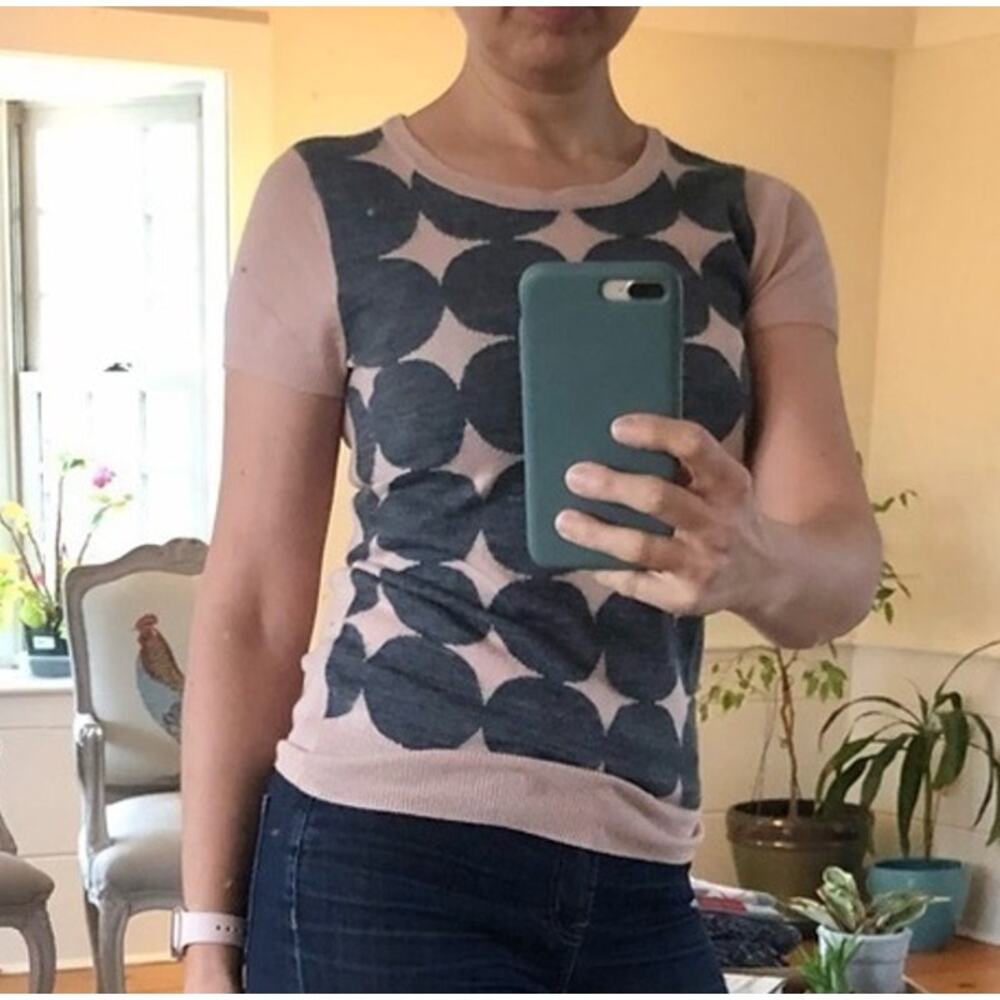 The Limited Pink Gray Short Sleeve Knit Sweater Top Women's XS